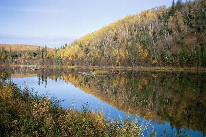 Tok to Fairbanks