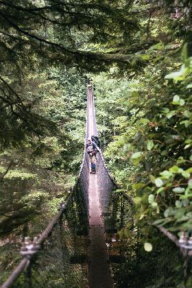 Bridge over Logan Creek