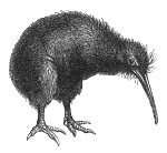 New Zealands national bird