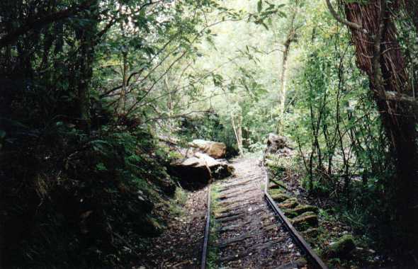 Cave Creek Nz